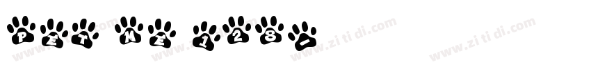PET ME 128字体转换